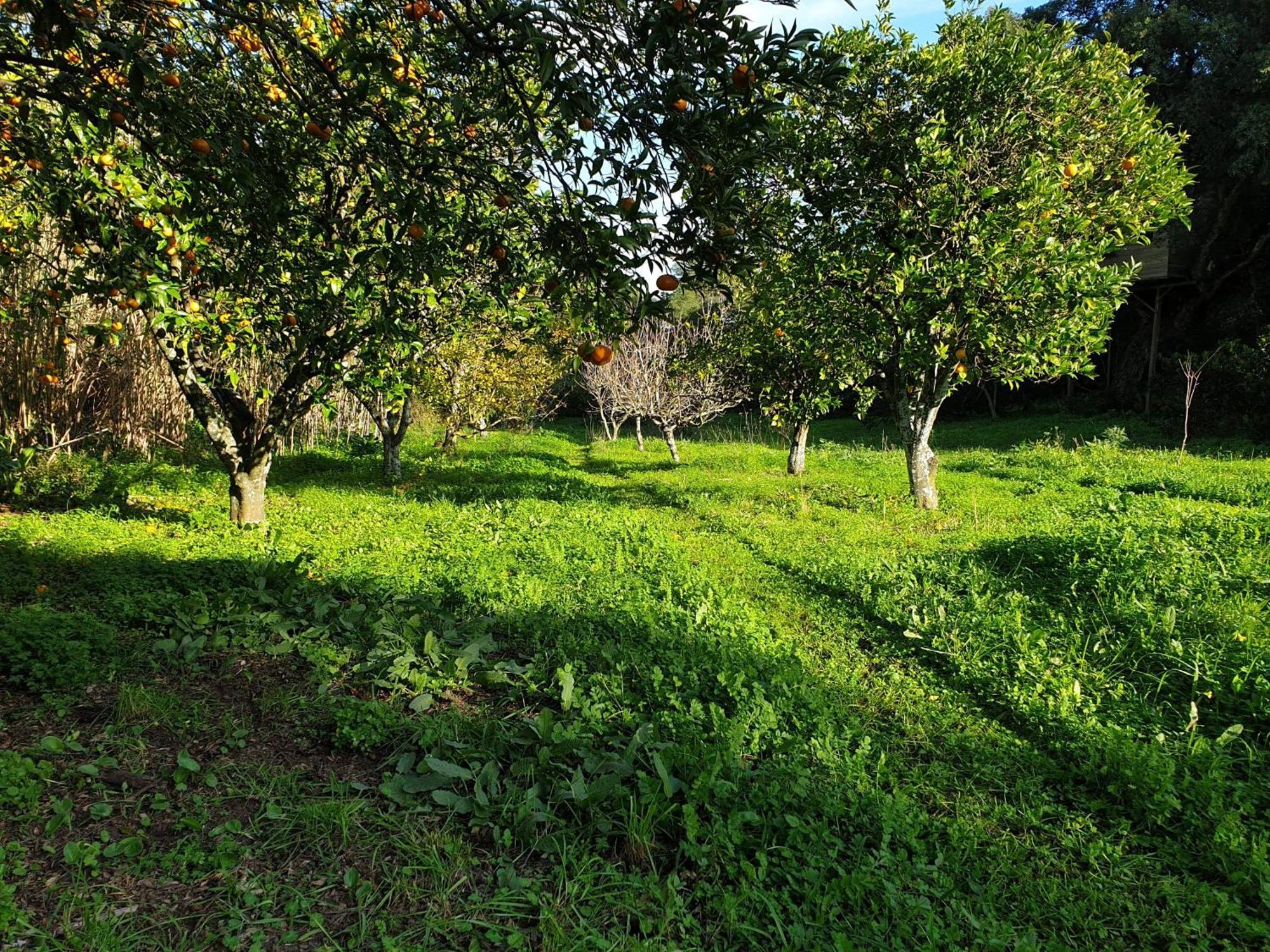 Sobreda Quinta De Sao Pedro 빌라 외부 사진